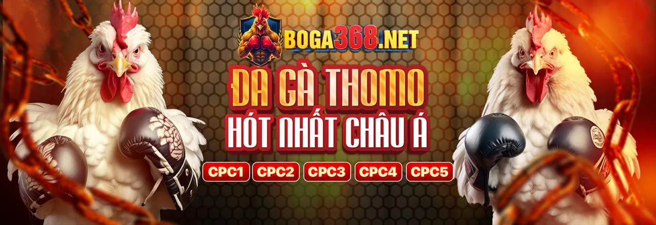 Minh họa các loại cookie được i9 bet sử dụng để đảm bảo an toàn và trải nghiệm người dùng